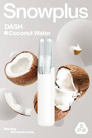 Product image of Coconut Water - Snowplus