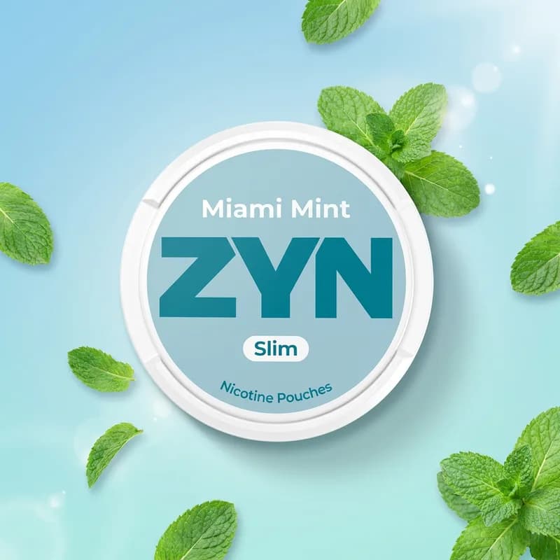 Product image of Miami Mint | 11mg - ZYN